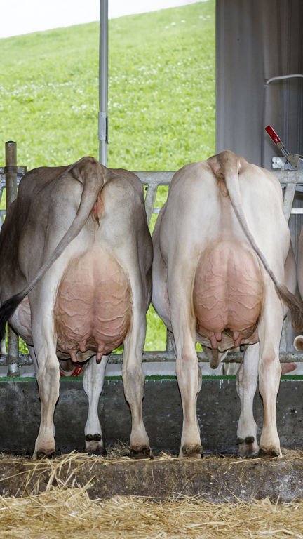 16-08-2021-panorama-volgger-4-arrow